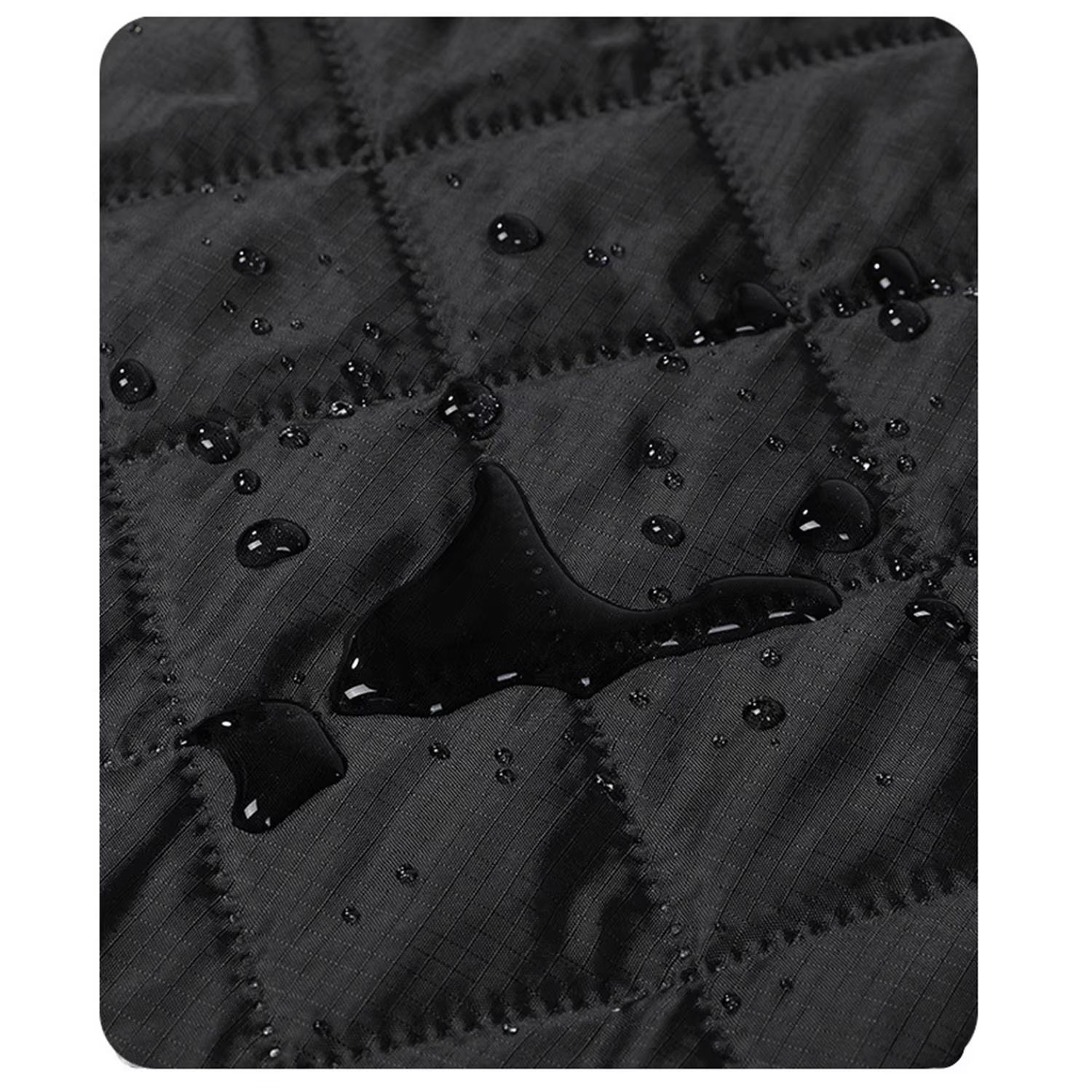 cae8b804-ea10-420c-83d2-eaf91822d146 cae8b804-ea10-420c-83d2-eaf91822d146